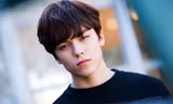 Trong thế giới fangirl: Vernon là chàng hoàng tử bạch mã của một cô gái thuở mộng mơ