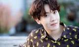 Trong thế giới fangirl: Jung Hoseok là chàng hoàng tử nhỏ của riêng em