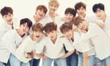 Trong thế giới fangirl: Tôi tình nguyện đợi một ngày cơn gió xuân mang Wanna One trở về