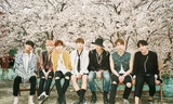 Trong thế giới fangirl: Chiếc máy nghe nhạc màu tím, BTS và thanh xuân của một cô gái nhỏ