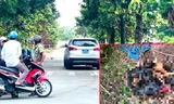 Vụ nghi án giết người phân xác: Huy động hơn 100 công an tìm phần thi thể còn lại 