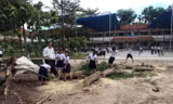 Thêm cây phượng bất ngờ bật gốc, trường tiểu học hú vía