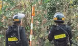 Công an bao vây vườn cam bắt kẻ trốn truy nã 