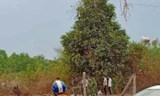 Bình Dương phát hiện bộ xương người trong bãi cỏ hoang 