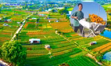 Ngắm 'thủ phủ hoa Tết' ở Bình Dương từ trên cao
