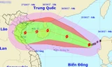 Tin mới nhất về cơn bão số 11