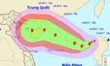 Bão số 11 tiếp tục mạnh thêm, có thể giật tới cấp 15