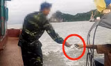 Cảnh mãi lộ tại khu vực trạm Nhà Đèn (Quảng Ninh). Ảnh: Cắt từ clip.