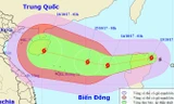 Bão số 11 giật cấp 10 hình thành trên biển Đông