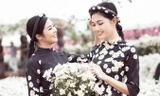 Hoa hậu Ngọc Hân, Á hậu Thanh Tú đẹp rạng rỡ bên cúc họa mi