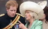 Harry nói xấu mẹ kế