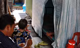 'Phòng giải nhiệt' giữa khu trọ nóng như lò hơi ở TPHCM