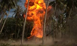 Lý Hải đốt nguyên rừng dừa 