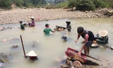 Người dân Quảng Nam đổ xô xuống sông đãi cát tìm vàng