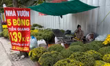 Đủ kiểu xả hàng hoa Tết ở TPHCM