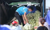 Người dân thủ đô chung tay giúp bà con Bắc Giang tiêu thụ dưa lê
