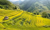 Mê mẩn ngắm tuyệt tác của núi rừng Tây Bắc