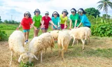 Đồng cừu Suối Tiên - ‘thiên đường sống ảo’ mới của giới trẻ