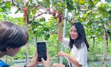 Nông trại nho trĩu quả giữa lòng Thủ đô mở cửa miễn phí hút giới trẻ đến check-in