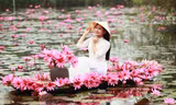 Mê mẩn những mùa hoa gây thương nhớ ở Hà Nội