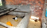 Chuồng gà nhà quan chức xã Quế An nuôi gà của dân đã đem bán, chỉ còn lại một số con để thịt.