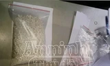 5.000 viên ma túy tổng hợp bị thu giữ 
