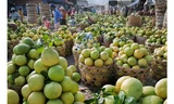 Thị trường trái cây Việt: Đích ngắm xuất khẩu 2 tỷ USD