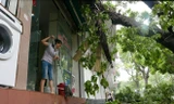 Người Hà Nội tất bật dọn dẹp sau trận mưa dông