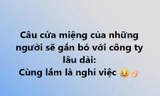 Bài học vỡ lòng cho "chiếu mới" công sở: Đồng nghiệp đòi nghỉ thường gắn bó với công ty