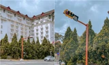 Đà Lạt lắp trụ báo tín hiệu giao thông đầu tiên, Gen Z thả tim vì "đến cây đèn cũng thơ"