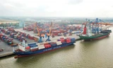 Nhóm cổ phiếu phân bón, cảng biển 'miệt mài' tăng trần