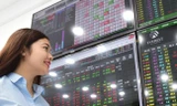 VN-Index lập đỉnh lịch sử, chứng khoán Việt lọt nhóm tăng trưởng mạnh nhất thế giới