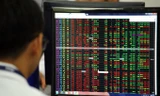 Chứng khoán tuột mốc 1.270 điểm trước ngày nghỉ lễ giỗ Tổ 