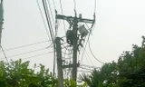 Bốn người bị điện giật tử vong tại Nghệ An