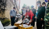 Ngư dân Nghệ An mang hàng tạ cá biển tươi đến ủng hộ khu cách ly tập trung