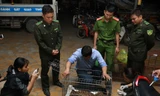 Bắt vụ vận chuyển hai cá thể hổ con quý hiếm
