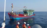 Huy động tàu thuyền tìm kiếm ngư dân mất tích trên biển