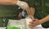 Mua ma túy hơn nửa tỷ, bị bắt trên đường vận chuyển
