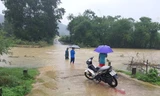 Mưa lớn nhấn chìm hoa màu, chia cắt giao thông ở Nghệ An