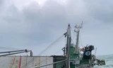 Tàu hàng nguy cơ chìm, cứu thành công 18 thuyền viên