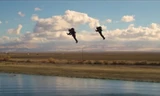 Bộ đồ bay phản lực Jetpack tốc độ cao có thể dùng để đua trên không