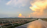 Loạt dự án điện mặt trời Xuân Thiện và Long Thành ở Đắk Lắk dính sai phạm