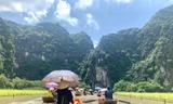 Du khách mê mẩn với ‘Sắc vàng Tam Cốc - Tràng An’