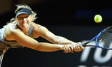Kerber bị loại sốc, Sharapova vào tứ kết Stuttgart Open