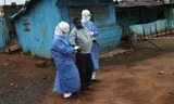Dịch Ebola đã cướp đi sinh mạng của 11.315 người trên thế giới