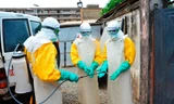 Tính đến thời điểm này, đại dịch Ebola cướp đi sinh mạng của 10.823 người