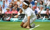 Roger Federer sẽ không thi đấu cho tới hết năm 2016 vì chấn thương