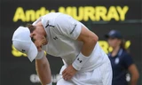 Chấn thương hông ảnh hưởng tới phong độ của Murray