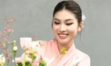 Cùng dàn á hậu, người đẹp khám phá văn hóa Nhật Bản