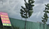Chưa xong giải tỏa, dự án Đông Bình Dương rầm rộ rao bán